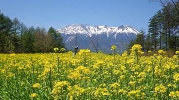 観光スポット / 9