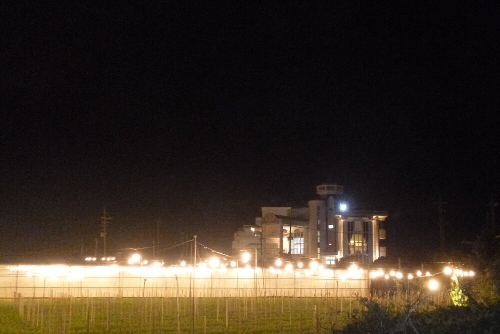 施設からの眺望