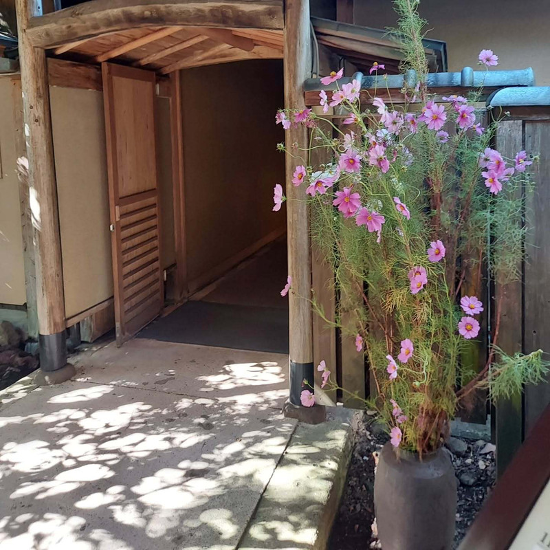 1000andstarさんの写真 / 2