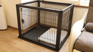 ワンちゃんルーム 和洋特別室 61m² (川側/禁煙)