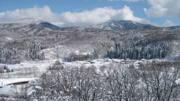 マウンテン ビュー / 21