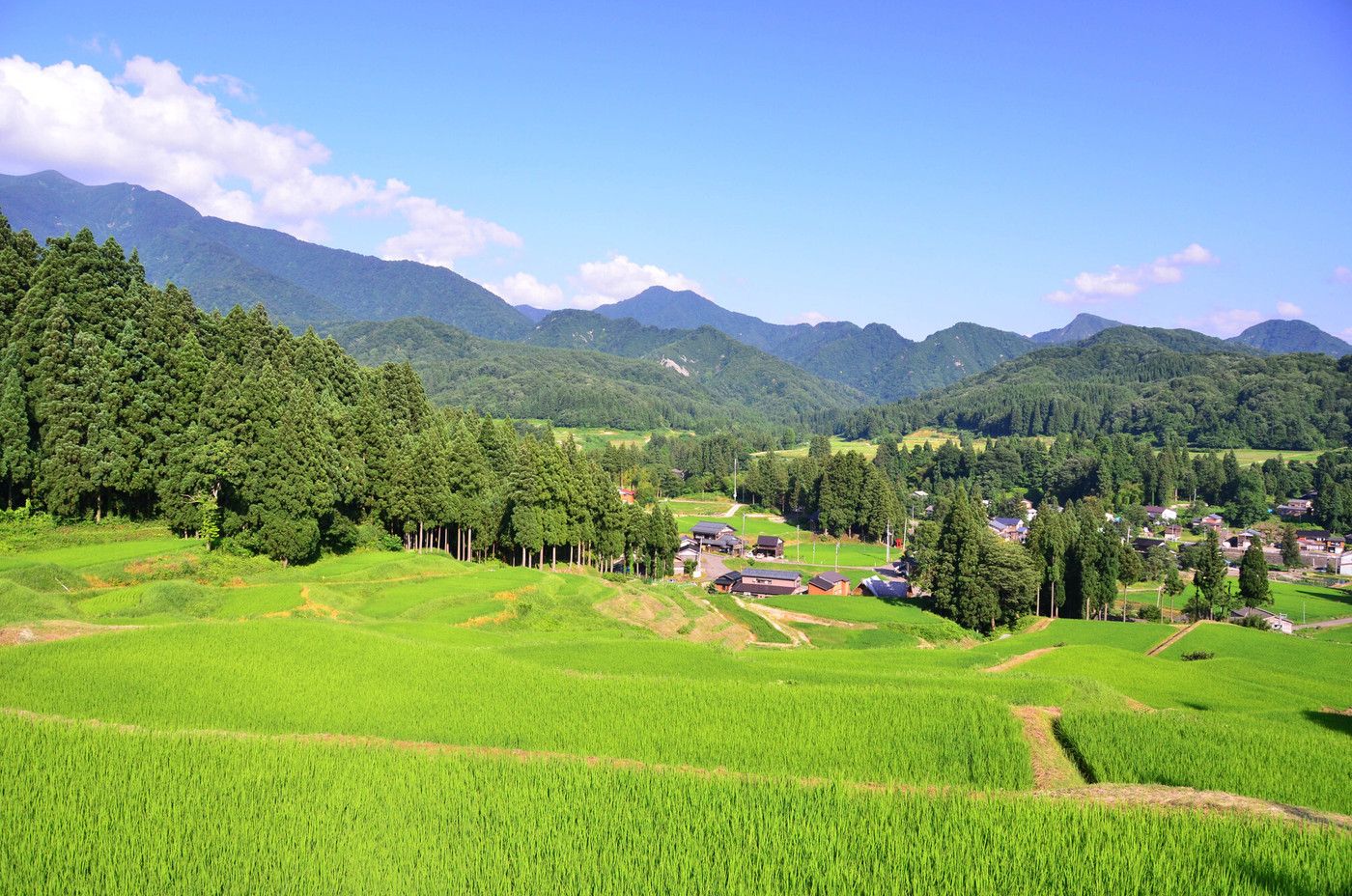 北五百川の棚田（新潟県）