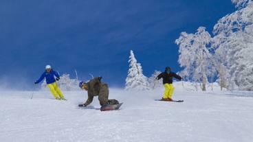 観光スポット / 12