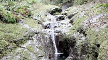 ランド ビュー / 13