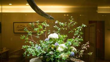 内装の詳細 / 29