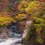 三名山のひとつ白山！石川県白山市で自然を感じる観光スポット10選