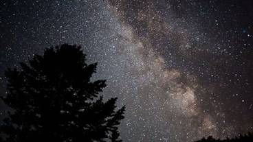 施設からの眺望 / 9