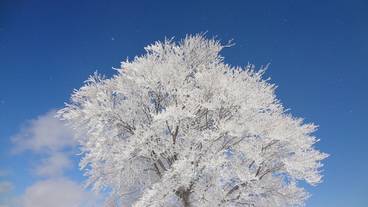 スノー スポーツとスキー / 6