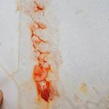 あさひ本店 江の島頂上店(アサヒホンテン)