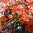 湯西川温泉 本家伴久