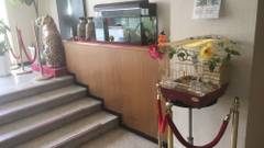 沖縄ホテルコンチネンタル