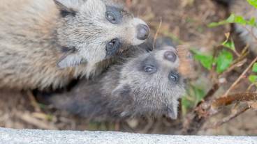 施設からの眺望 / 21