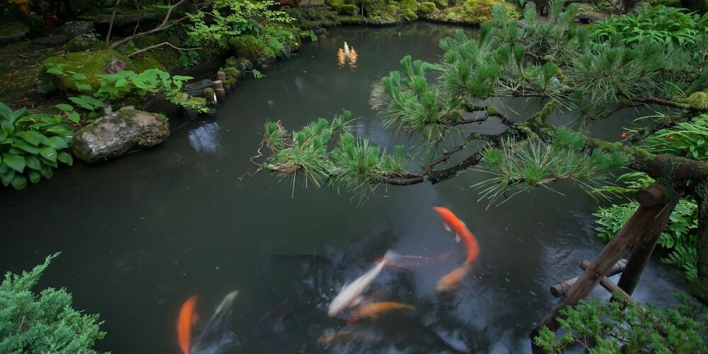 庭園
