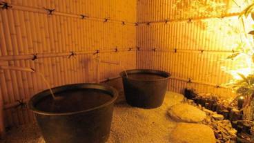 スパ / 7