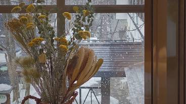 内装の詳細 / 11