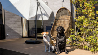 (104) メゾネットルーム ガーデンビュー ペット同泊可