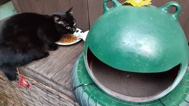 テラス / パティオ / 11