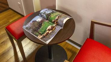 客室の設備とサービス / 11