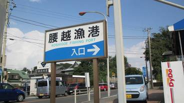 釣り / 2