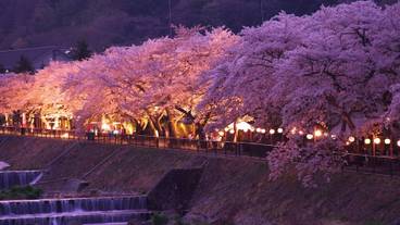 シティ ビュー / 30