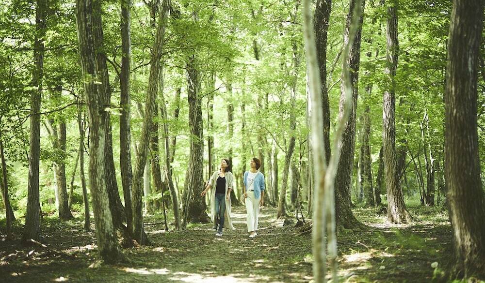 朝の森さんぽ / 4