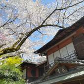 お宿吉水（京都府 民宿） / 3