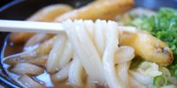 【福岡うどんの決定版】地元っ子イチオシのおいしいうどん店8選