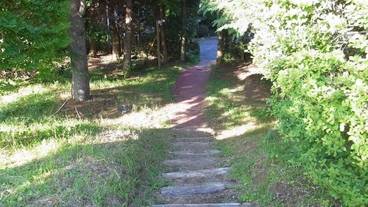 施設の敷地 / 12