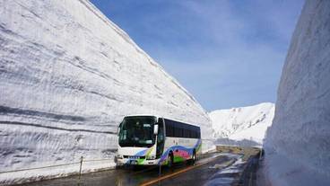 観光スポット / 7