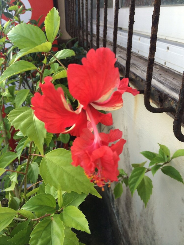 施設からの眺望