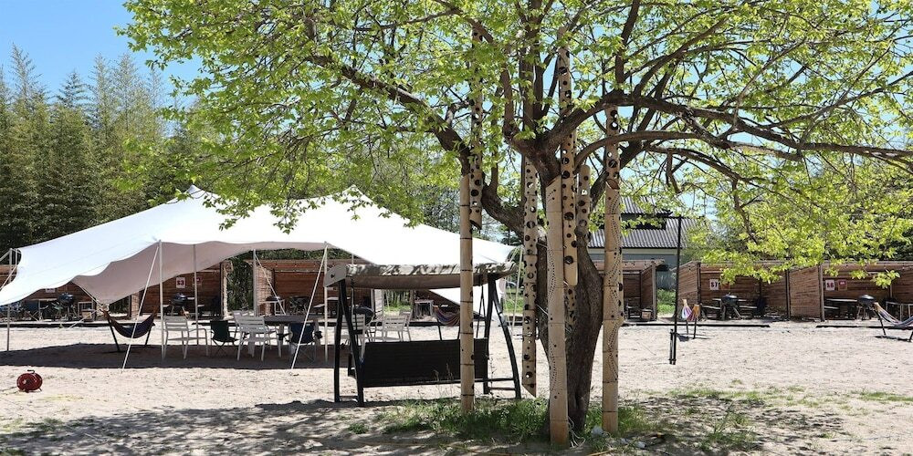 バーベキュー / ピクニック エリア