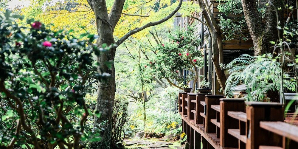 施設からの眺望