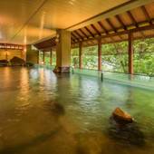 北海道定山渓温泉 定山渓ビューホテル（北海道 リゾートホテル） / 3