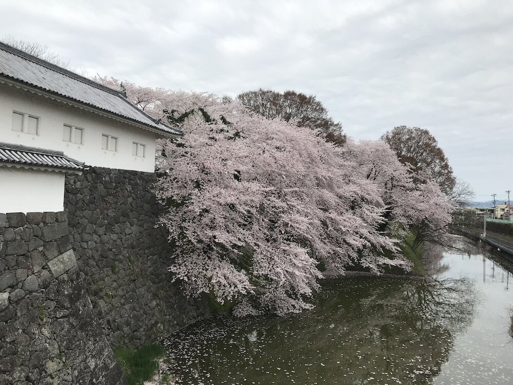観光スポット