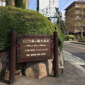 川涌の湯 マウントビュー箱根（神奈川県 旅館） / 4