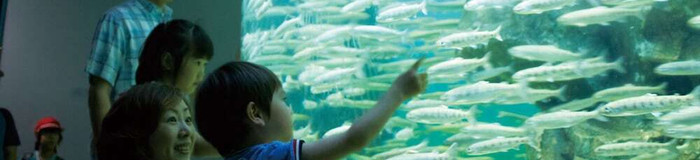 琵琶湖周辺の子連れにおすすめホテル・旅館11選。ファミリーで楽しもう!/滋賀