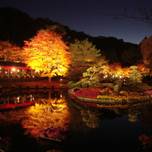 秋色に染まる絶景を見に行こう！静岡県内の紅葉スポット11選
