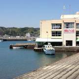 「鯛の浦遊覧船」で
“神秘の鯛”に出合う / 2