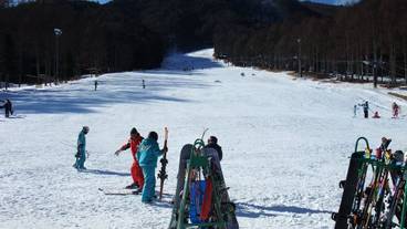 観光スポット / 21