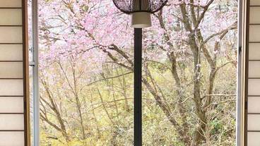 部屋からの景観 / 13