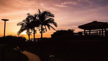 子供用の遊び場 - 屋外 / 6