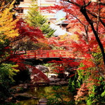 【広島県】秋は安芸の宮島へ！紅葉狩り＆運気アップを楽しむ旅