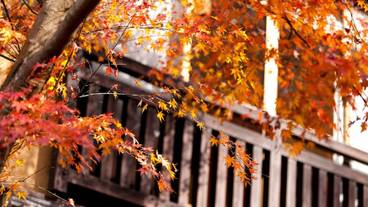 施設の敷地 / 13