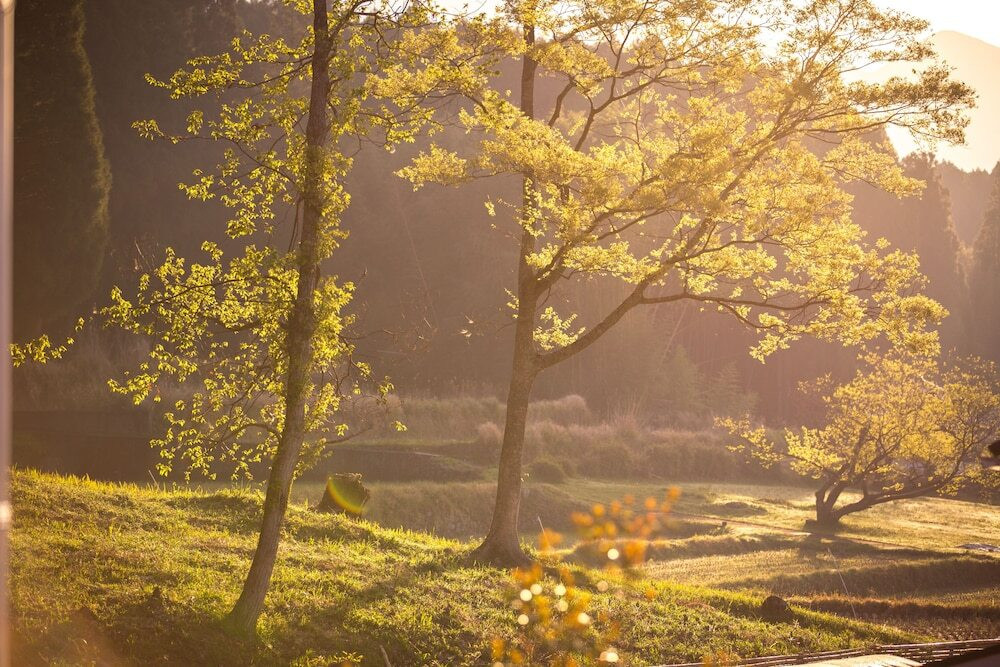 施設からの眺望
