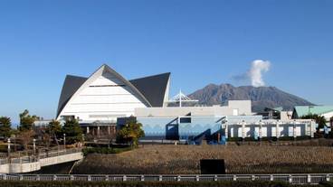 観光スポット / 5