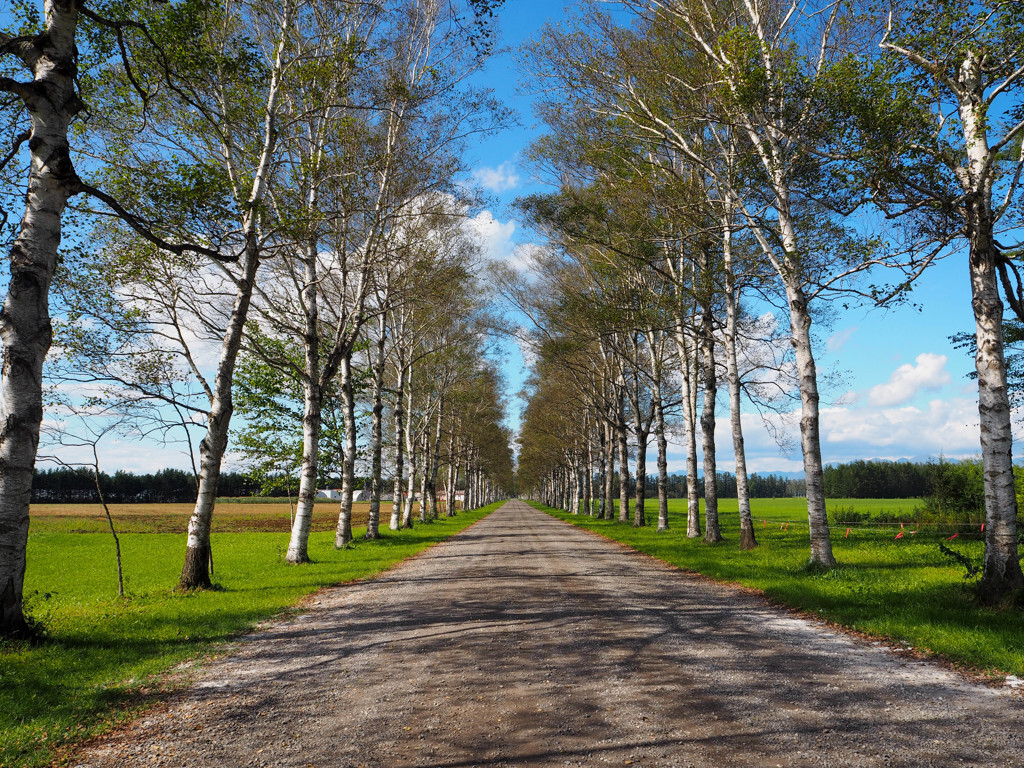 北海道十勝地方って、どんなところ？3435160