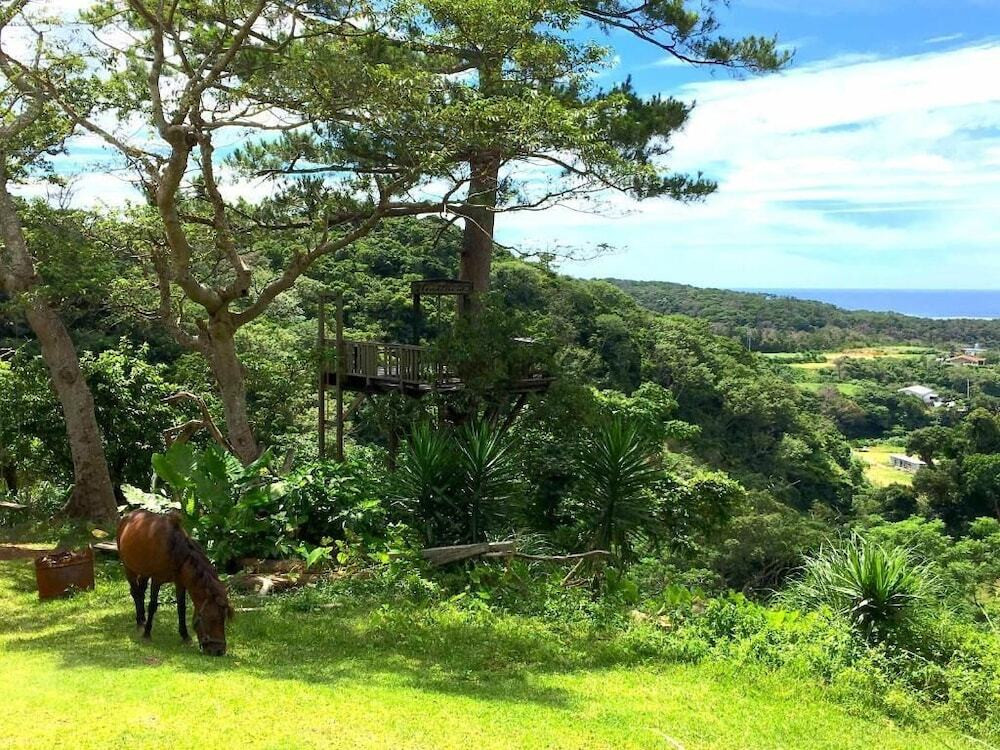 マウンテン ビュー