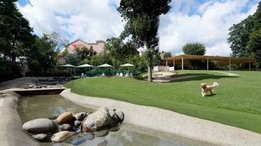 ペット用設備・サービス / 1