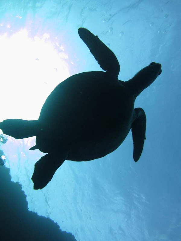 フィットネス設備