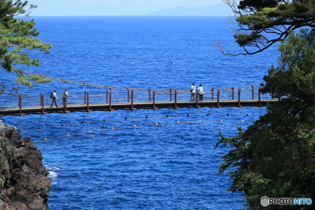 自然のパワーを感じる「東伊豆」エリアのおすすめホテル3454362